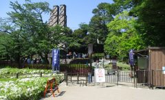 Numazu Tourism - Izu no Kuni City التراث العالمي Nagiyama Reflector-