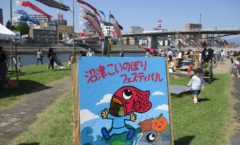 Numazu tourism - 2018 fiscal Numazu carp streamer Festival ~