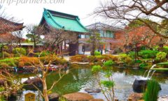 前往擁有日本最大之一的長谷觀音的“長谷寺”