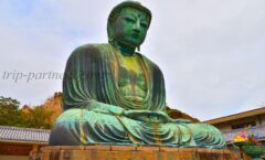 يمكنك أن ترى تمثال بوذا الوسيم في كاماكورا ، وهو محفوظ في كوتوكو إن.
