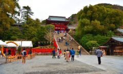 參觀鎌倉的象徵“鶴岡八幡宮” -鎌倉還有一個13人的大河戲劇廳！ ~
