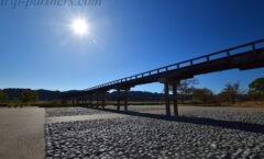 獲吉尼斯認證！世界上最長的木製人行橋「蓬萊橋」也是玉汝營的聖地△